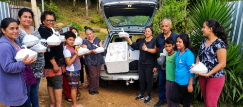 Voluntários ampliam Projeto Alimentar em Curitiba